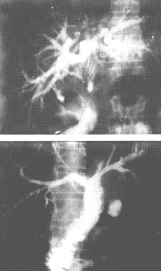 fig18-7.gif