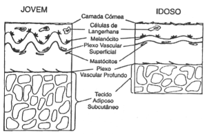 fig50-01.gif