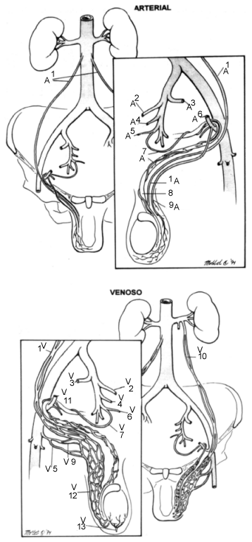 Fig01-1.GIF (3398 bytes)