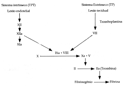 fig06-01.gif
