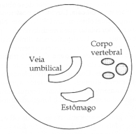 fig26-02.gif