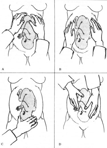 fig27-01.gif