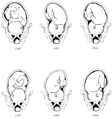 fig27-05.gif