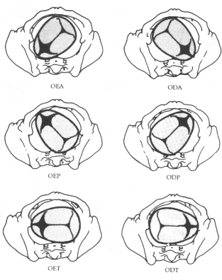 fig27-06.gif