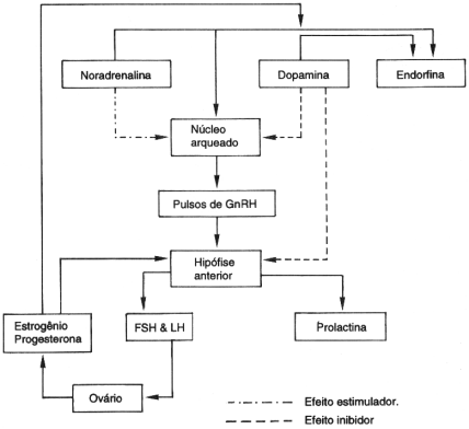fig04-01.gif