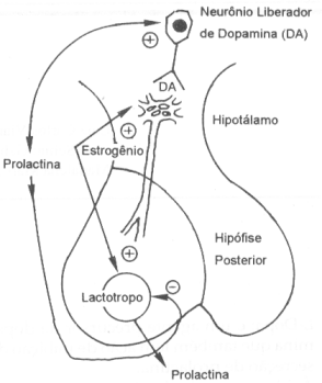 fig46-01.gif