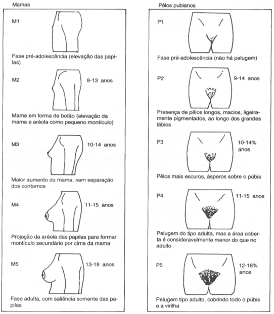 fig49-01.gif