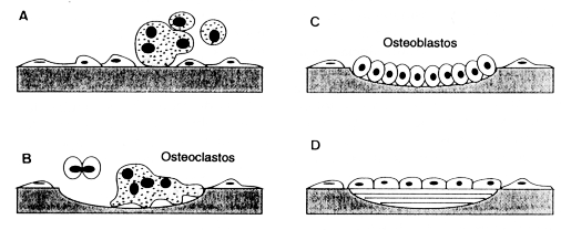 fig55-01.gif