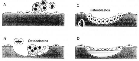fig55-02.gif