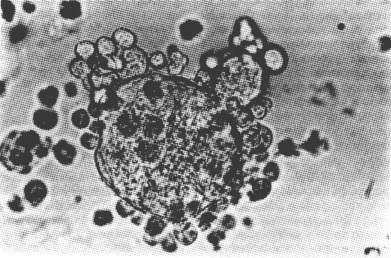 fig02-03.gif