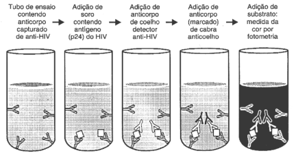 fig03-04.gif