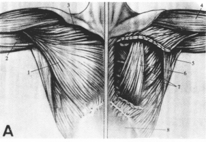 fig02-2a.gif