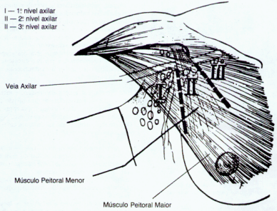 fig02-5.gif