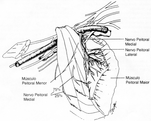 fig02-6.gif