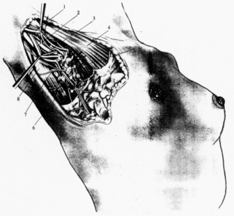 fig02-7.gif