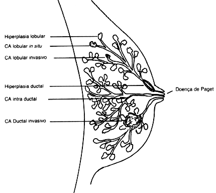 fig07-1.gif