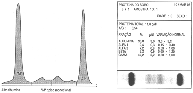 fig22-1.gif