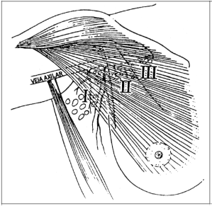 Fig04-13.gif