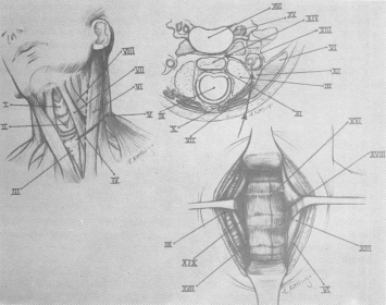 fig01-14.gif