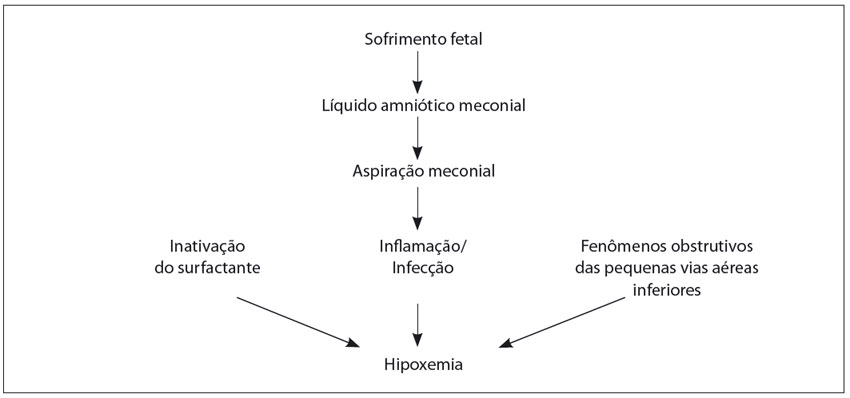 Fisiopatologia da síndrome de aspiração meconial.