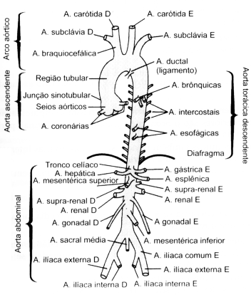 Figura 02-09