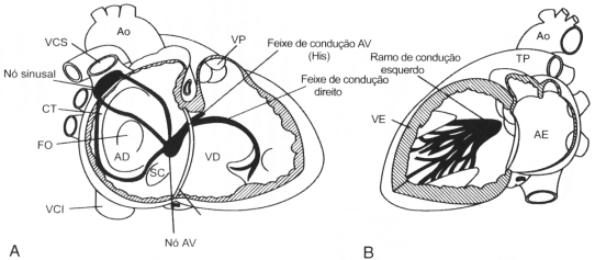 Figura 02-11