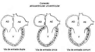 Figura 26-02