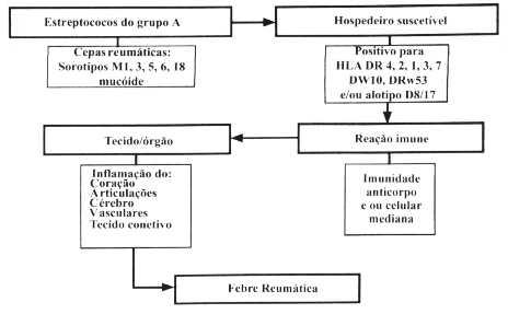 Figura 28-01