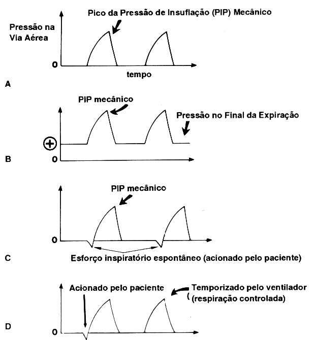 fig02-1.gif (35162 bytes)