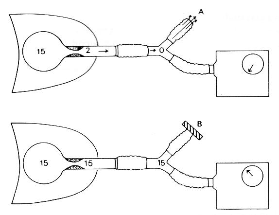 fig07-6.gif (25413 bytes)