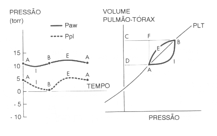 fig17-11.gif (39277 bytes)