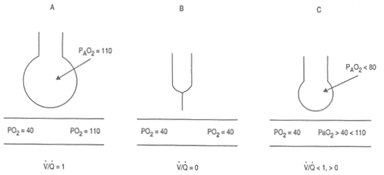 fig09-01.gif