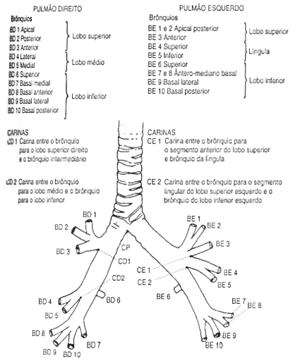 fig10-01.gif