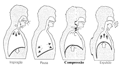 fig12-02.gif
