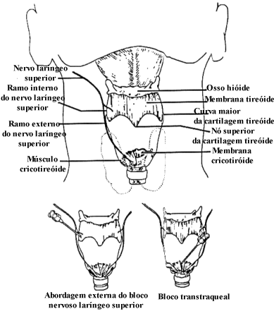 fig18-03.gif
