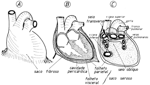 fig03-06.gif