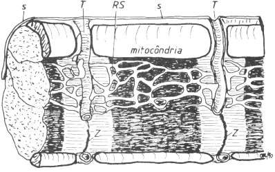 fig03-10.gif