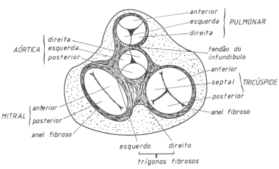 fig04-11.gif