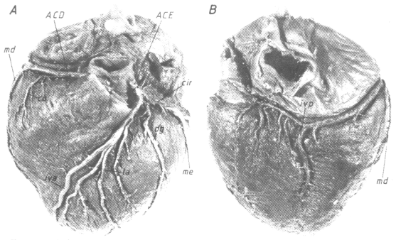 fig05-02.gif
