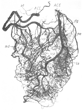 fig05-03.gif