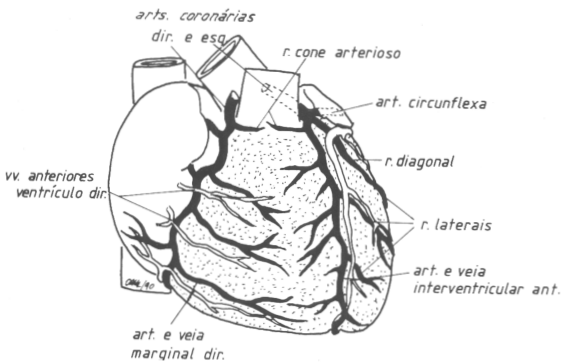 fig05-04.gif
