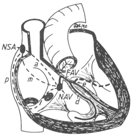 fig06-01.gif