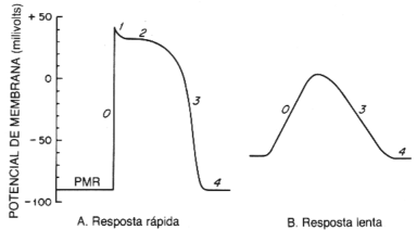fig07-02.gif