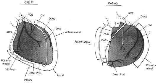 fig12-04.gif
