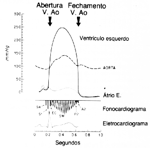 fig19-02.gif