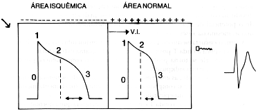fig20-4.gif