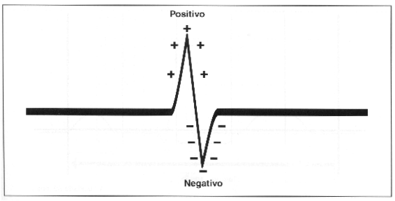 Exerccio 29