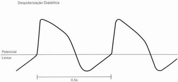 Exerccio 6