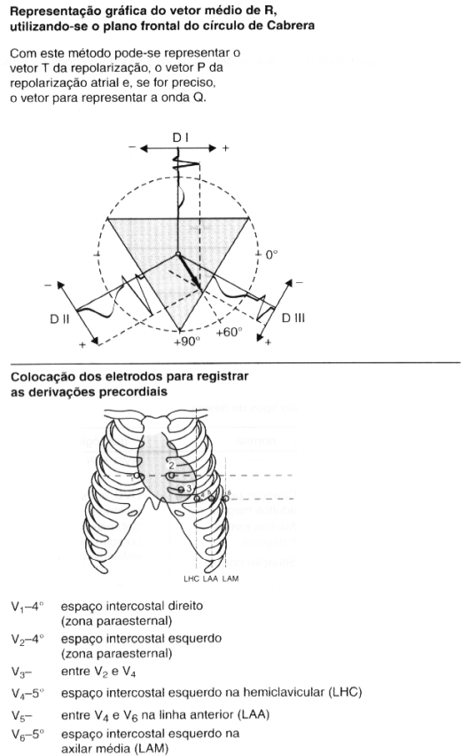 Derivaes precordiais