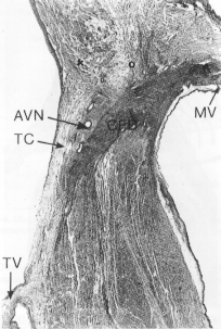 fig01-03.gif